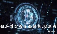 : 广州区块链加盟公司全面解析，助您成功创业之